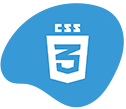 Web Designers