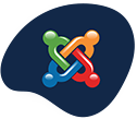 Best Website Designers